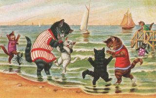 Bathing Beauty Dressed Cats At The Seashore Ocean Sail Boat Comic Humor Pc Gem