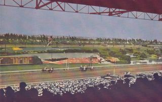 Horse - Racing,  Hollywood Park Race Track,  Inglewood,  California,  40 - 60s