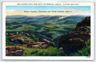 Postcard Va Looking South From White Top Mountain Three States Vtg View H2