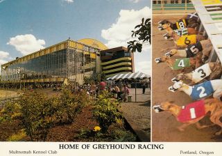 Portland,  Oregon,  50 - 60s; Multnomah Kennel Club,  Greyhound Dog Racing