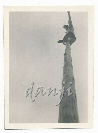 Low Angle Vu Of Risky Man Waving From The Top Of A Pole In Sky Void Old Photo