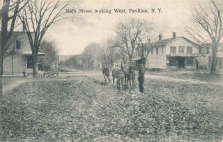 Pavilion Ny – Main Street Looking West Showing Horses,  Plow And Stores - 1909
