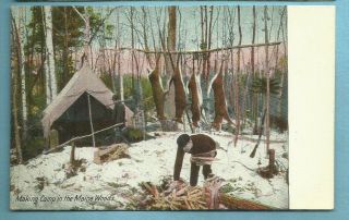 Man Picking Up Firewood/deer Hanging On Line/tent/camp In Maine Woods/postcard