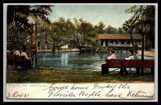 Uncommon Tampa Florida Sulphur Springs Boys Diving Board Swimming Postcard,  Tuck