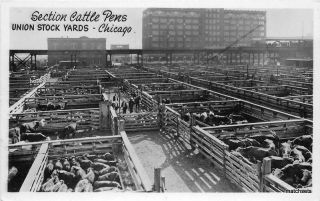 1930s Agriculture Industry Cattle Pens Chiicago Illinois Postcard Rppc 2219