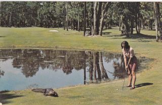 Hilton Head,  South Carolina,  50 - 60s ; Adventure Inn Executive Golf Course