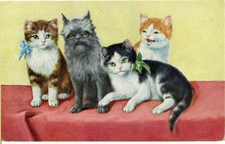 Early 1900s Artist Drawn Old Postcard Three Cats & Wire Haired Terrier Dog