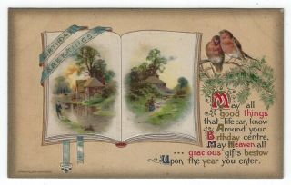 Vintage Birthday Greetings Postcard,  Country Scenes,  Robins,  Winsch 1910
