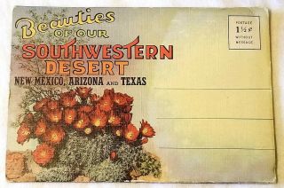 Vintage Souvenir Fold - Out Postcard Folder The Beauties Of The Desert