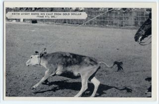 1946 Keith Avery Ropes Calf,  Cowboy,  Rodeo,  Lowell,  Michigan,  Postcard Roping