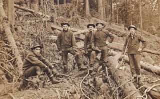 Loggers In The Forrest Real Photo Postcard Rppc 1910 