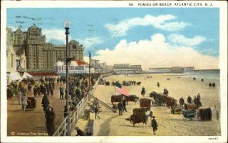 Ponies And Carts On Beach Boardwalk Atlantic City Jersey Nj Mailed 1931