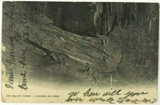The Fallen Tower Caverns Luray Virginia Va Black & White Vintage 1900 