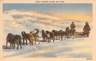 C21 - 2263,  Famous Alaska Dog Sled Team.