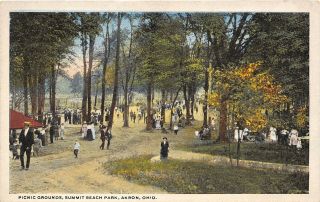 Akron Ohio 1920s Postcard Picnic Grounds Summit Beach Park