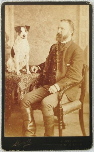 Cdv Gentleman Terrier Dog Antique Photo Mowle King 