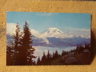 Vintage Postcard Mt.  Rainier From Stevens Canyon Road Lookout