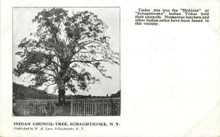 York Photo Postcard: Indian Council Tree Schaghticoke,  Ny Pub By M A.  Lyon