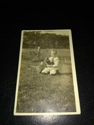 Vintage Black And White Post Card,  Early 1900s,  Young Boy With Cat