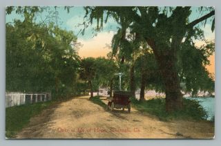 Isle Of Hope Savannah Georgia—oak Tree Dirt Road Drive—antique Postcard 1910s
