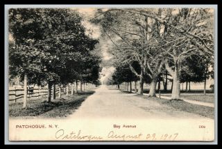 Patchogue Long Island York Bay Avenue Postcard 1907