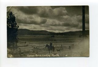 Camas Prairie Id Idaho Antique Postcard,  Cowboy Scene,  Description On Back