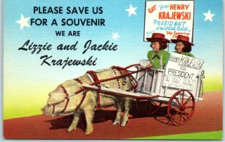 1950s Secaucus Nj Political Postcard Henry Krajewski Kids In Pig Cart Linen