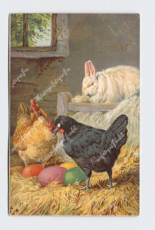 Ppc Postcard Easter Bunny Rabbit Chickens Eggs