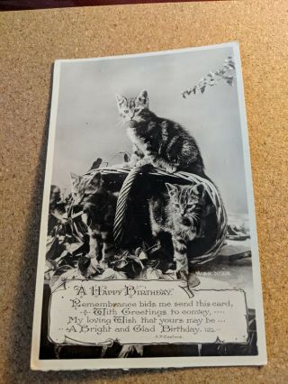 Vintage Cat Postcard.  Rppc.  3 Kittens,  2 In Basket,  1 On Top.  Birthday Greeting.