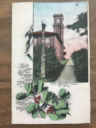 Wsc Early 1900’s Christmas Postcard.  Hand Tinted.  Bryan Hall