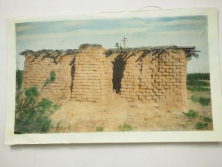Hand Painted Tinted Photo Cactus On House Sells Ajo Road Arizona 2.  75 X 4.  5 1938