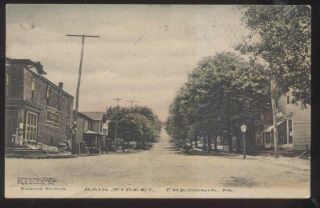 Postcard Fredonia Pennsylvania/pa Main Street Business Storefronts 1907