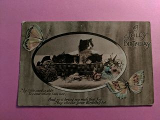 Vintage Cat Postcard.  4 Kittens.  Basket.  Birthday.  Butterflies.  British.