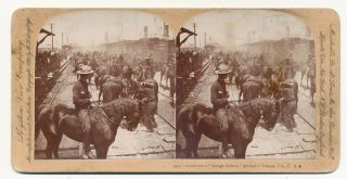 Roosevelt’s Rough Riders At Tampa Fl Stereoview 1898 Keystone 9253