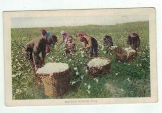 Antique 1907 Post Card Jamestown Exposition & Cotton Picking Time