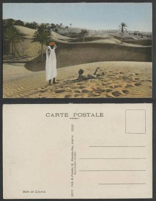 Algeria Old Postcard Bain De Lézard Bath Of Lizard Desert Palm Trees Sand Dunes
