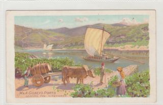 Vintage Postcard W&a Gibley 