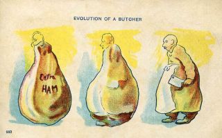 Fine Old Metamorphic Postcard Evolution Of A Butcher