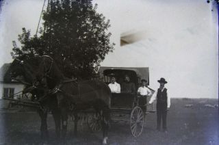 Glass Plate Negative Minnesota 1880s Farm Horse Buggy Men 4x5 5x4 4 X 5 Antique