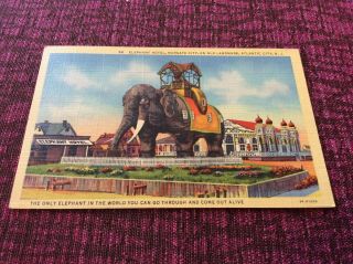 Circa 1950 Lucy The Elephant Hotel Margate,  Jersey Postcard