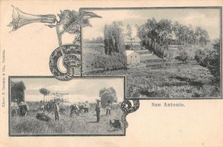 San Antonio,  Chile,  Men At Work In Field With Ox Carts,  House & Stream C 1902