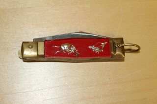 Vtg.  Gold Dragon / Bull Fighter Lucite Handle Spring Assisted Pocket Knife
