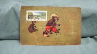 1906 Postcard Signed St John Bears " Summer " Bears Fishing