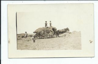 Real Photo Postcard Post Card Farming Horse Drawn Wheat Stacks 5