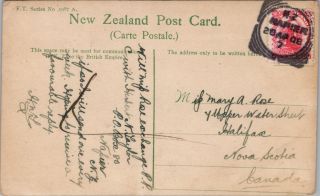 Hunting The Moa NZ Zealand FT Series 9587A Real Photo Postcard E33 2