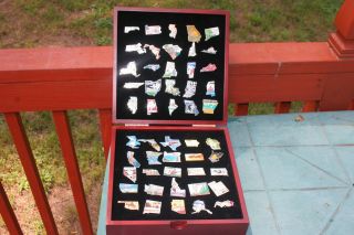 Wallabee & Ward United States Collector Pins Set In Display Box