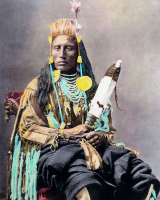 Medicine Crow Native American Indian 1880 8x10 " Hand Color Tinted Photograph