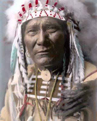 Ghost Bear Native American Crow Warrior 1908 8x10 " Hand Color Tinted Photograph