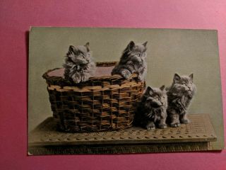 Vintage Cat Postcard.  4 Gray Kittens.  Basket.  Table.  Not Mailed.  British.