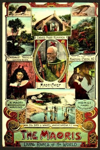 Zealand Vintage Postcard 1909 - The Maoris - Living Races Of The World